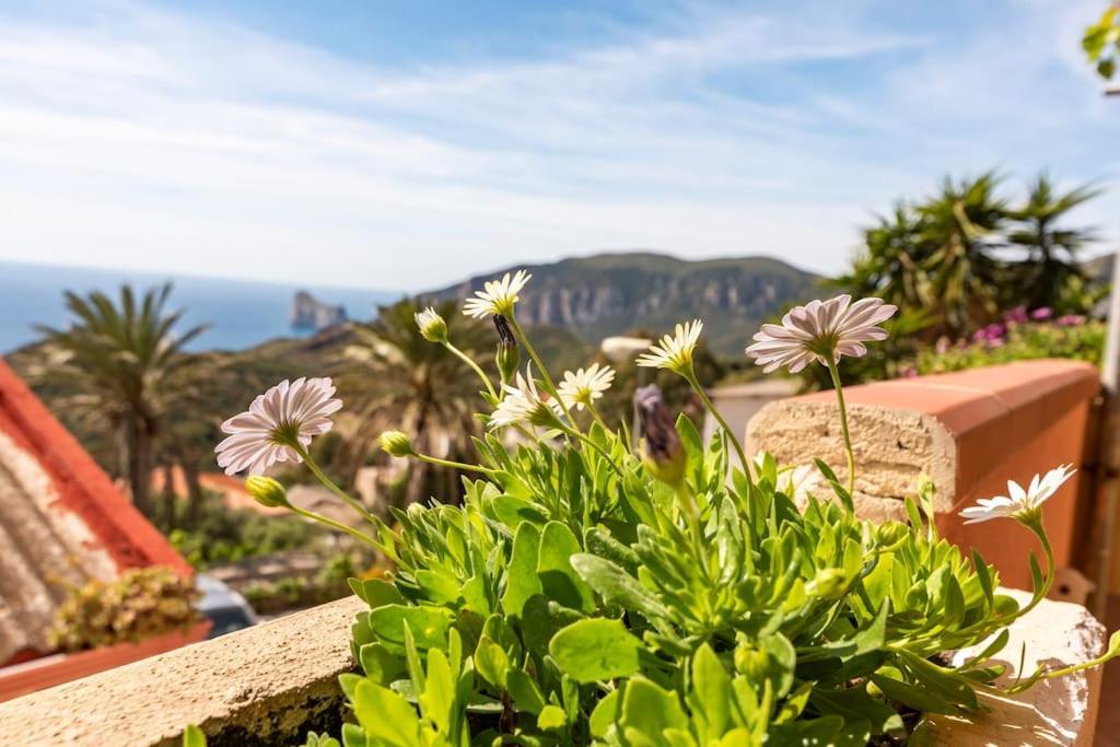 Vista Sul Pan Di Zucchero - Nebida - Holiday House Экстерьер фото